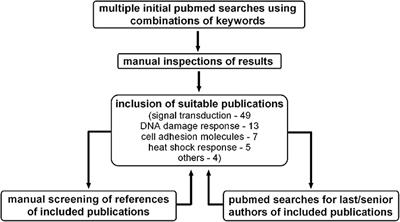 Improving the Efficacy of Tumor Radiosensitization Through Combined Molecular Targeting